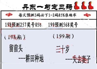3d199期:丹东一句定三码