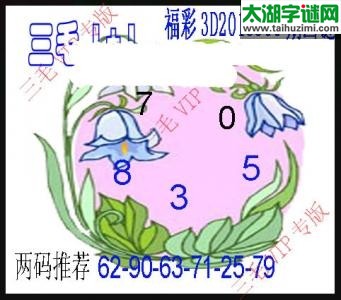 3d300期：老版三毛图谜