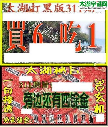 3d311期：太湖图库图谜打黑版