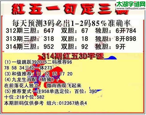 3d314期红五一句定三码