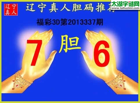 3d337期：【辽宁真人】胆码