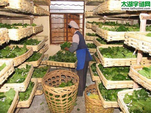 3d342期试机号后太湖钓叟一语定胆：养蚕