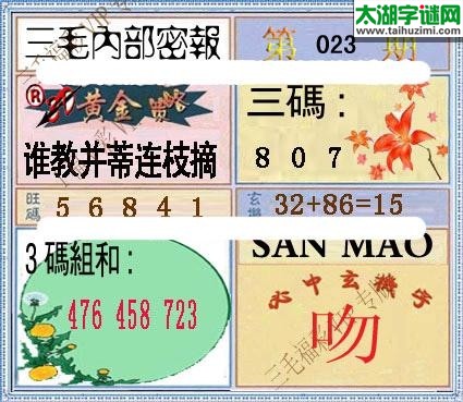 3d023期：老版三毛内部密报