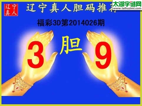 辽宁真人026期胆码※胆码