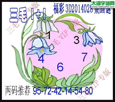 三毛图谜028期