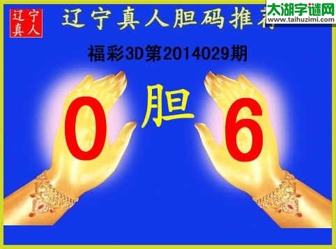 辽宁真人029期胆码