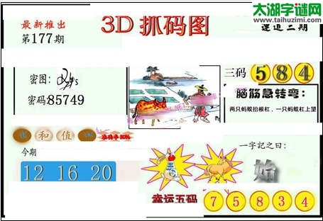 3d177期：红五图库（杀号定胆）