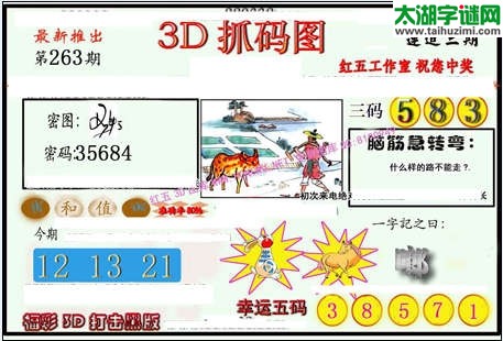 3d263期：红五图库（杀号定胆）
