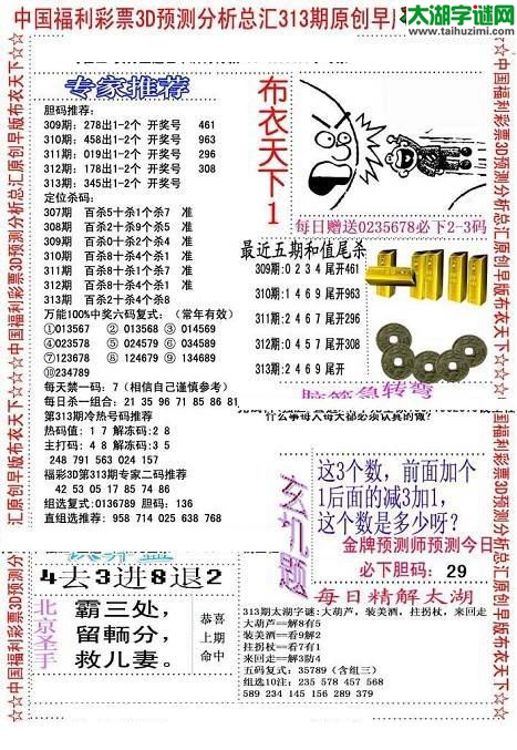 好心人布衣图谜313期