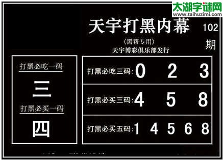3d102期：天宇图谜(胆码杀码-一句定三码)