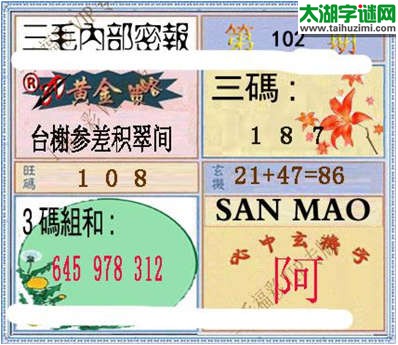 3d102期：3d三毛图库总汇