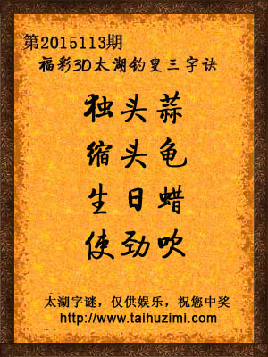 3d113期太湖字谜：独头蒜，缩头龟，生日蜡，使劲吹