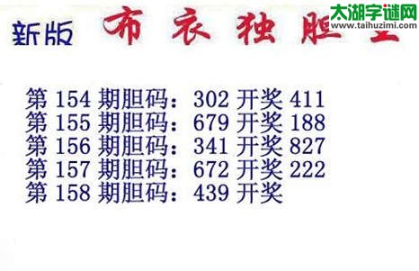 3d15158期：布衣独胆王图谜