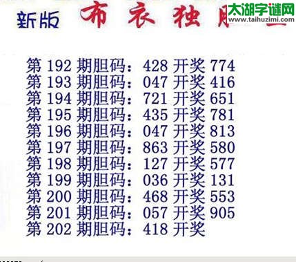 3d15202期：布衣独胆王图谜