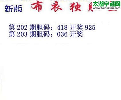 3d15203期：布衣独胆王图谜