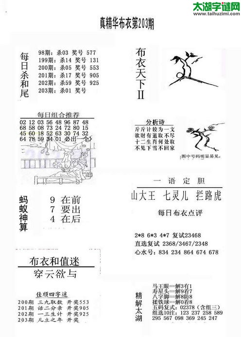 3d布衣天下图谜2015203期