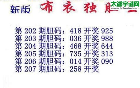 3d15207期：布衣独胆王图谜