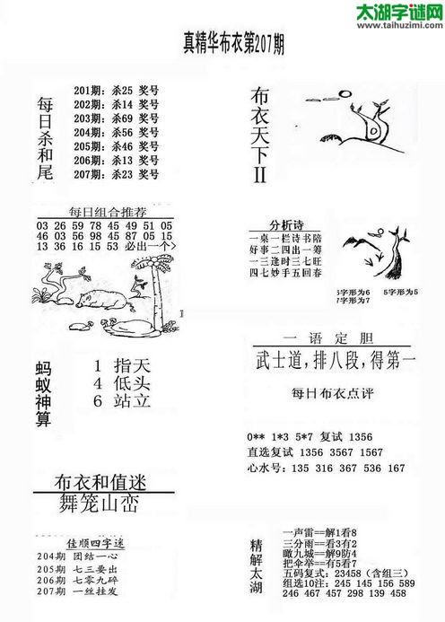 3d布衣天下图谜2015207期