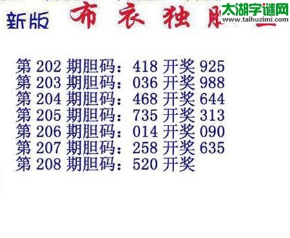 3d15208期：布衣独胆王图谜