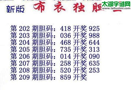 3d15209期：布衣独胆王图谜