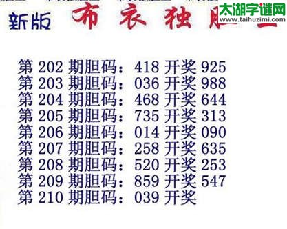 3d15210期：布衣独胆王图谜