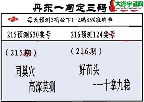 3d第2015216期丹东一句定三码