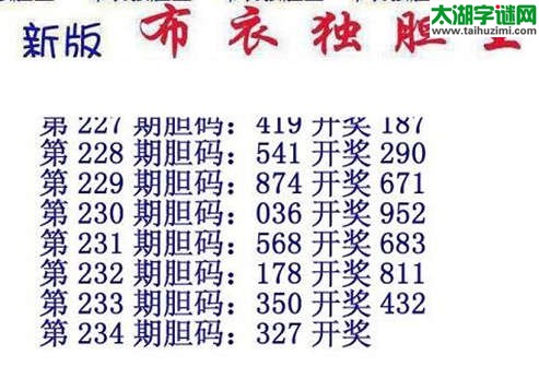 3d15234期：布衣独胆王图谜