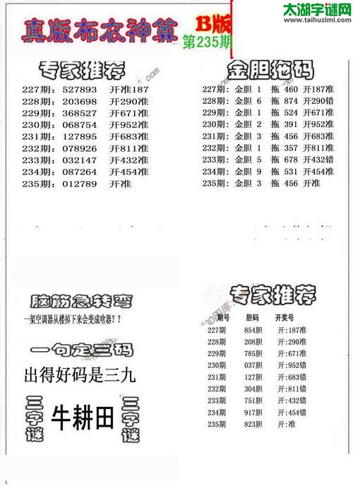 3d布衣神算AB版图谜2015235期