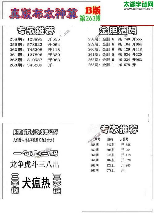 3d布衣神算AB版图谜2015263期