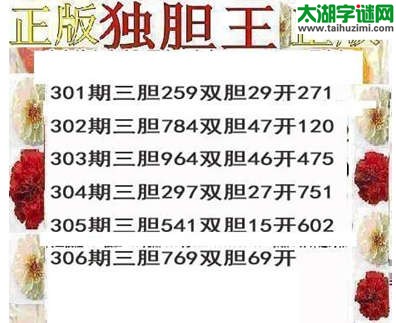 福彩3d正版独胆王第2015306期