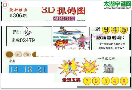 3d306期：红五图库（藏宝抓码图）