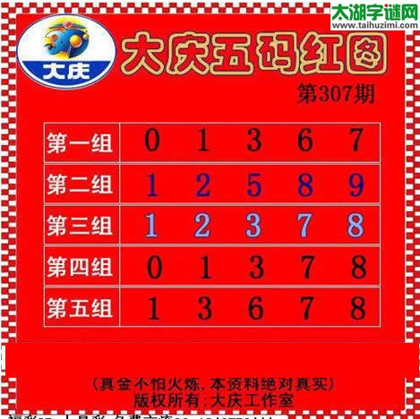 3d307期：大庆黑胆王图迷