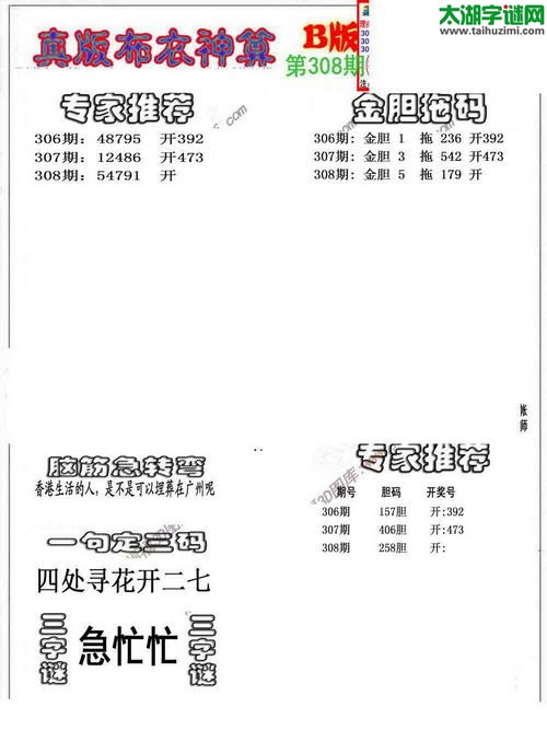 3d布衣神算AB版图谜2015308期