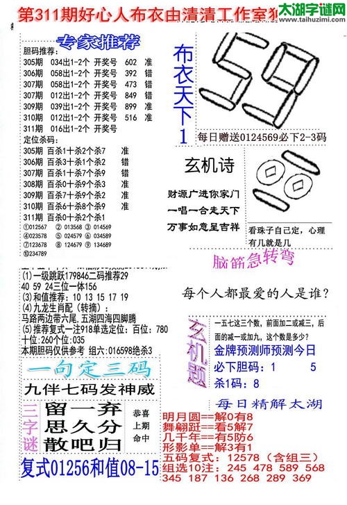 福彩3d好心人布衣-15311期