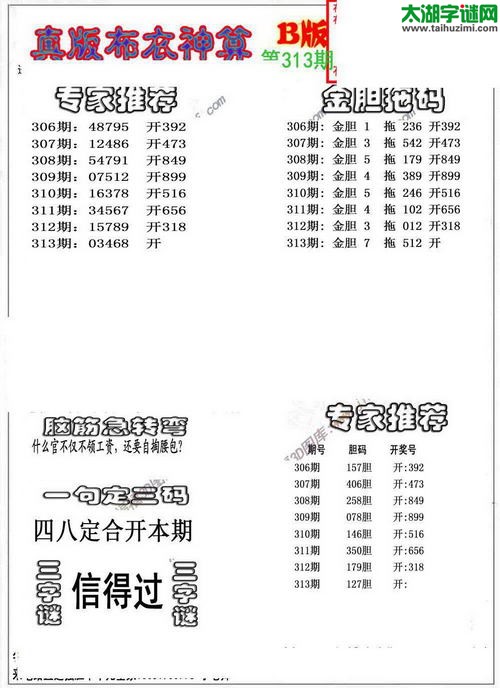 3d布衣神算AB版图谜2015313期