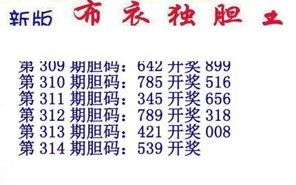 3d15314期：新版布衣独胆王图谜