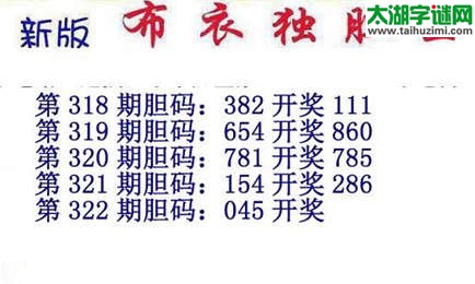 3d15322期：新版布衣独胆王图谜