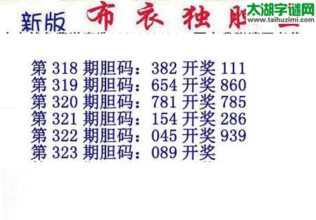 3d15323期：新版布衣独胆王图谜