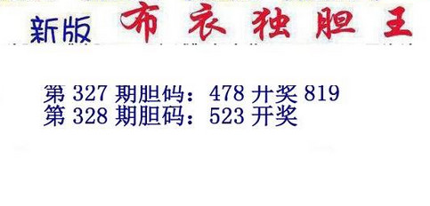 3d15328期：新版布衣独胆王图谜