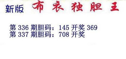 3d15337期：新版布衣独胆王图谜