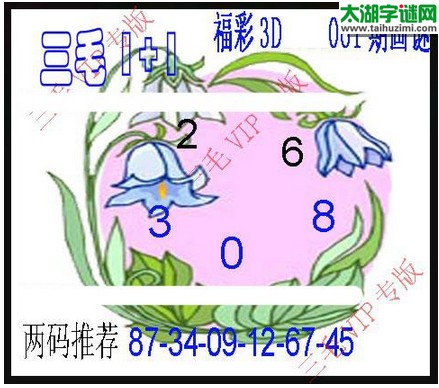 福彩3D第2016061期藏机图