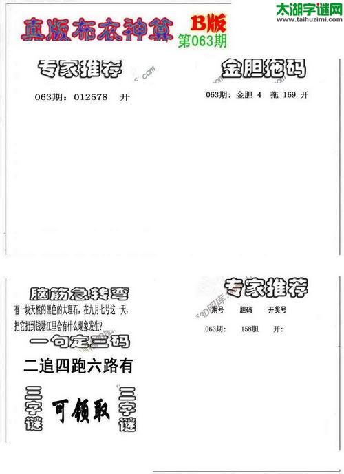 3d布衣神算AB版图谜2016063期