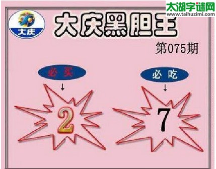 3d075期：大庆黑胆王图迷