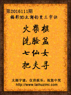 3d111期太湖字谜：火柴棍，洗脸盆，七仙女，把夫寻