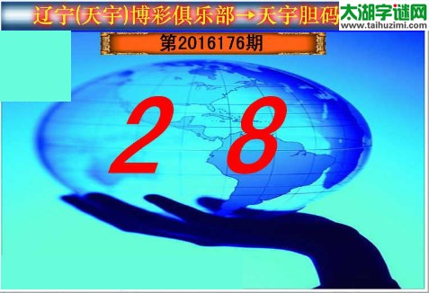 天宇图谜第2016176期胆码图