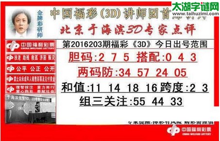 于海滨专家点评16203期