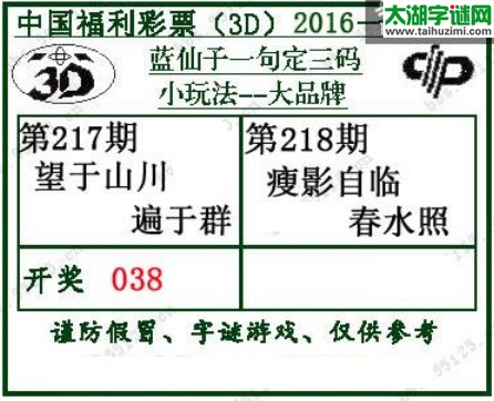 蓝仙子一句定三码16218期