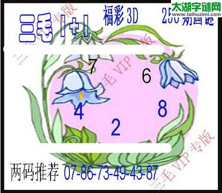 3d256期：3d三毛图库汇总