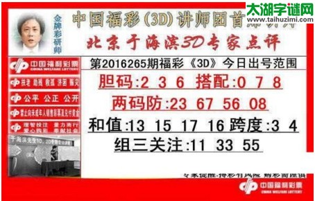 于海滨专家点评16265期