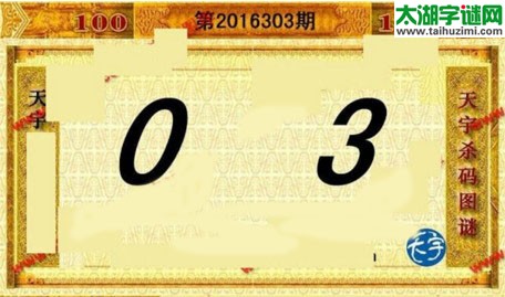 天宇杀码图第16303期